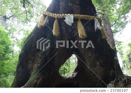 兒童授楠 23780197