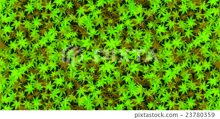 Maple leaves summer background Maple leaves summer background 23780359