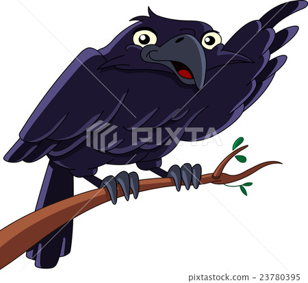 Raven Raven 23780395