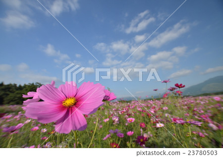 宇宙和藍天 23780503