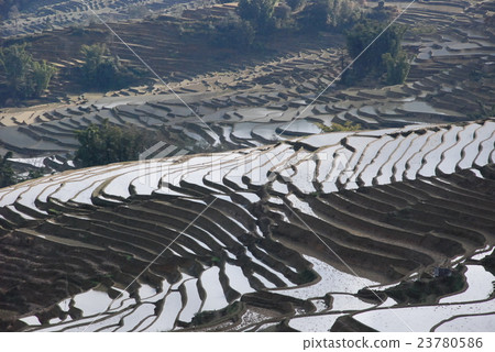 Yunnan rice terrace in Yunnan province 23780586