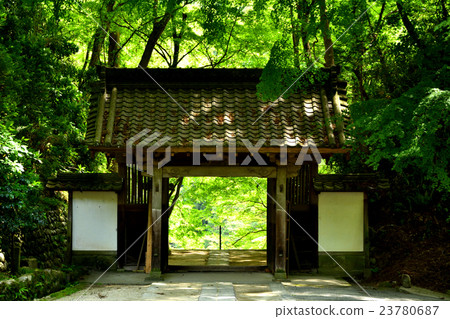 The gate and the fresh green 23780687