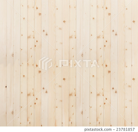 樹的後面 23781857