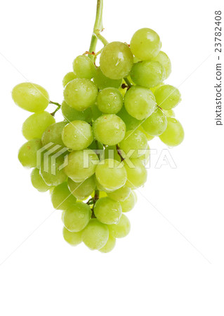 food and drink 23782408