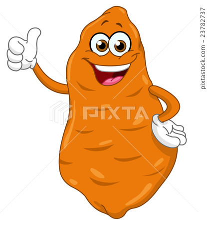 Sweet potato 23782737