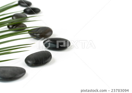 pebbles and palm leaf 23783094