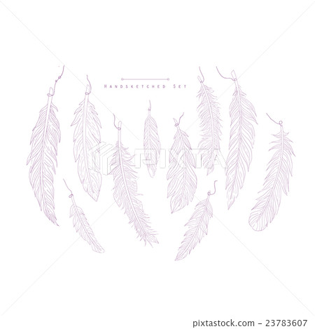 Boho Style Feathers Hand Drawn Realistic Sketch - Stock Illustration ...