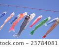 Carp streamer 23784081