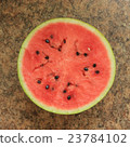 Watermelon 23784102