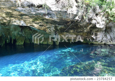 Gran Cenote, a place of diving and snorkeling. Suburb of Tulum on Yucatan Peninsula, Mexico Gran Cenote, a place of diving and snorkeling. Suburb of Tulum on Yucatan Peninsula, Mexico 23784257