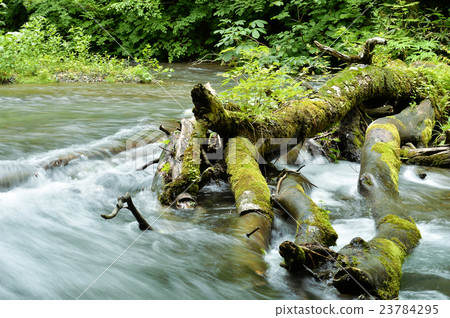 Oirase stream Oirase stream 23784295