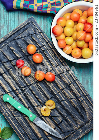 autumn cherry plum 23784961
