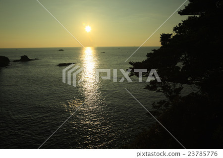 Daio Saito Daio Saito 23785776