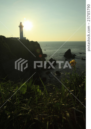 Great King Saigun 23785790