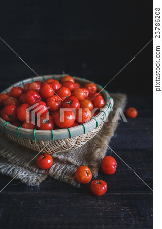 Barbados cherrys 23786208