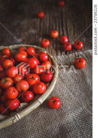 Barbados cherrys 23786226