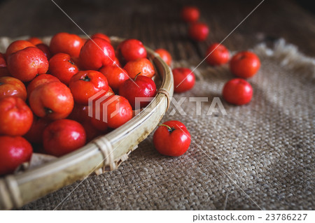 Barbados cherrys 23786227