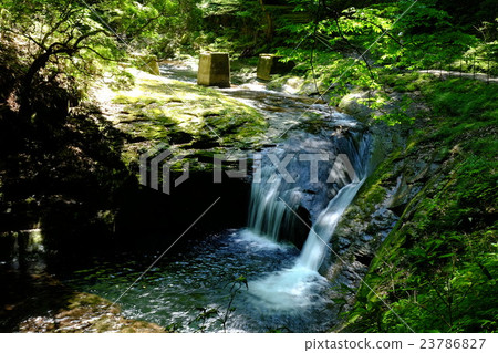 Red-eye Shirataki Falls Ryu-Ito 23786827