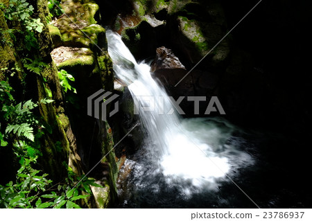 Red-Eye Shimpaku-taki Waterfall 23786937