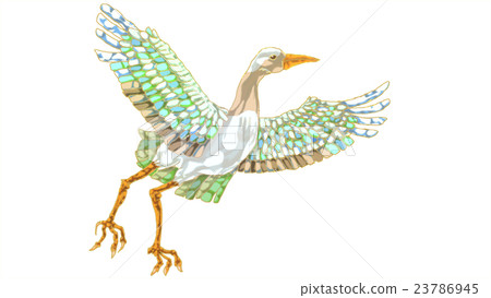 Crane 23786945
