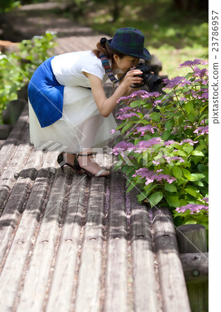 Camera girls enjoying shooting with single lens reflex cameras 23786957