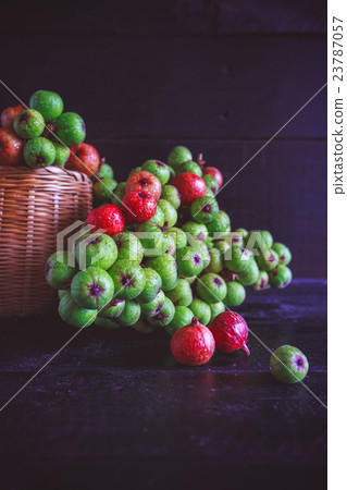 Figs 23787057