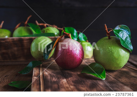 Star Apples 23787361