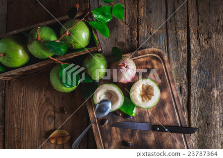 Star Apples 23787364