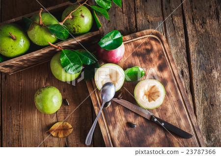 Star Apples 23787366