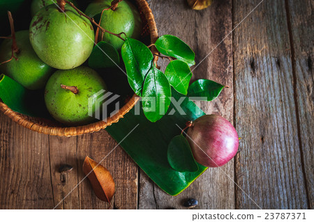 Star Apples 23787371