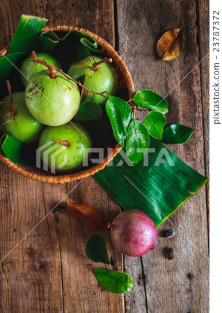 Star Apples 23787372