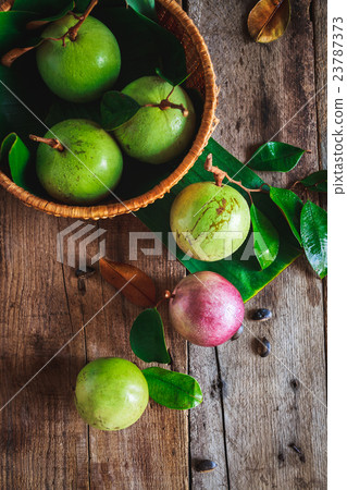 Star Apples 23787373