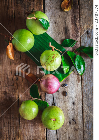 Star Apples 23787374