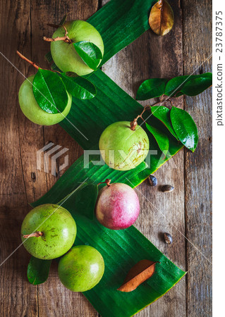 Star Apples 23787375