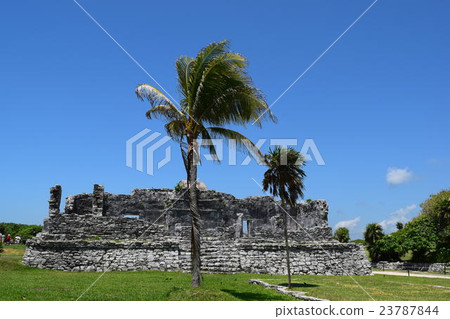 Mexico, Tulum ruins and palm trees Mexico, Tulum ruins and palm trees 23787844