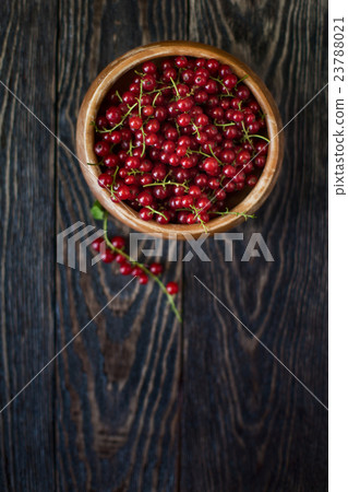 Fresh red currants 23788021