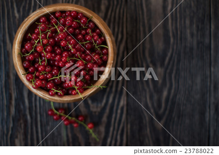Fresh red currants Fresh red currants 23788022