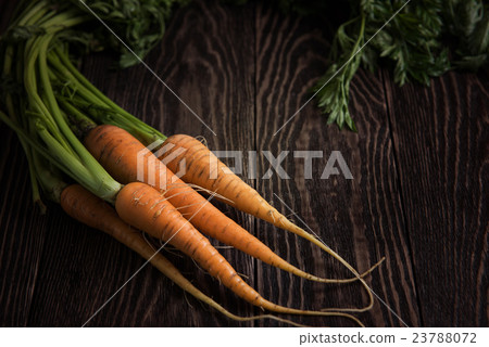 Freshly grown carrots Freshly grown carrots 23788072