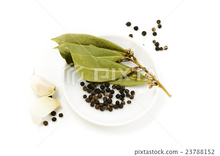 garlic, peppercorn and bay leaf garlic, peppercorn and bay leaf 23788152