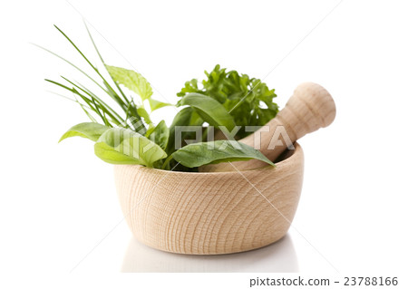 Healing herbs 23788166