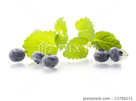 Isolated fresh berries with mint 23788231