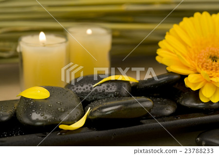 Spa setting with pebbles and yellow flower Spa setting with pebbles and yellow flower 23788233