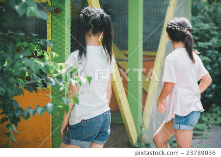 elementary student, primary school child, primary school student 23789036