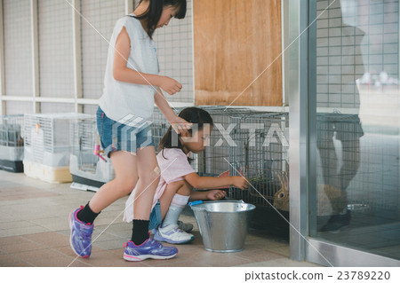 elementary student, primary school child, primary school student 23789220