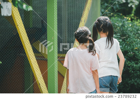 elementary student, primary school child, primary school student 23789232