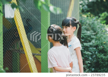 elementary student, primary school child, primary school student 23789235