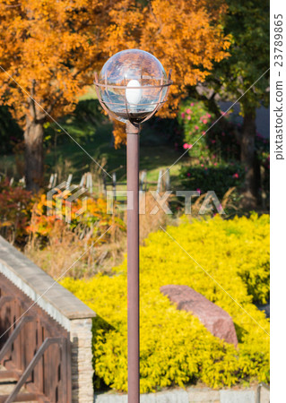 Lamp post in park with autumn. 23789865