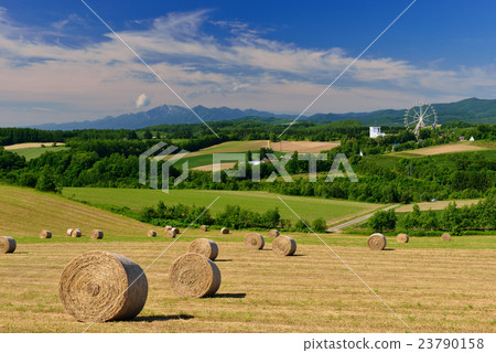 Biei no Oka Biei no Oka 23790158