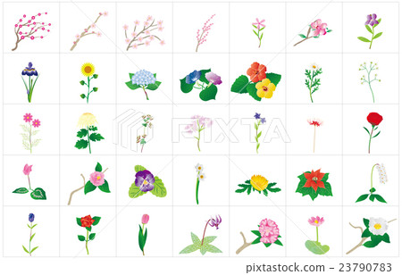 Seasonal flowers 2 frames 23790783
