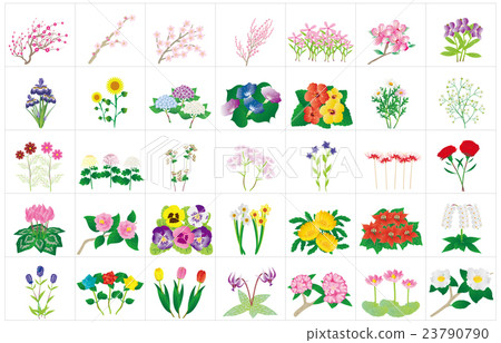 Seasonal flower frame 23790790